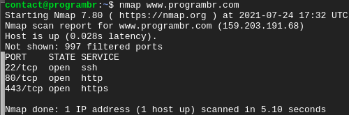 nmap with Domain name
