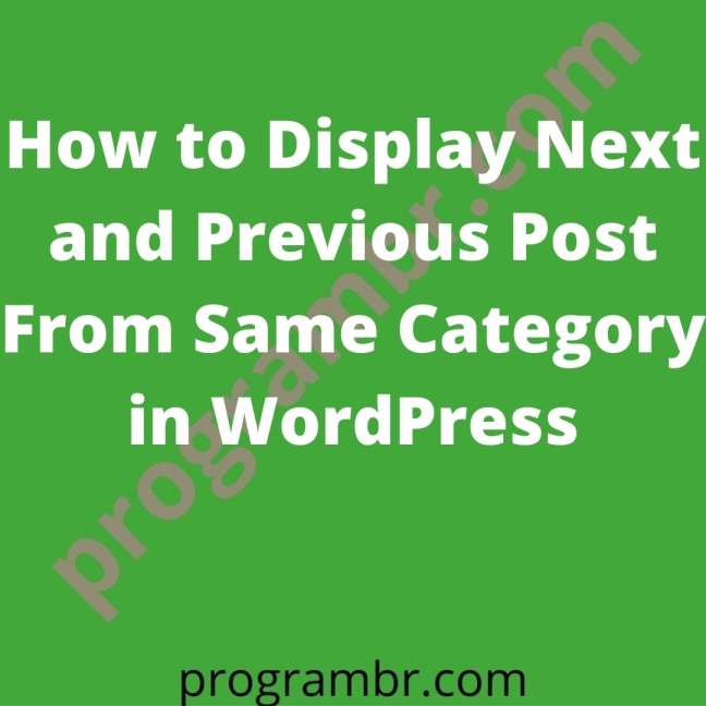 Display Next and Previous Post From Same Category in WordPress
