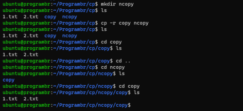 copy one directory to other directory