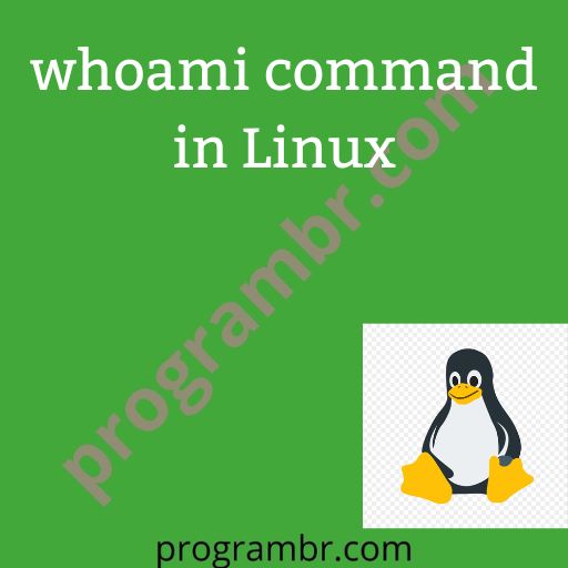 whoami command in linux