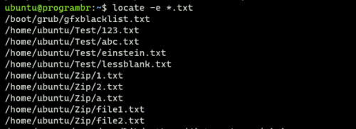 locate -e *.txt command in linux