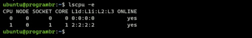 lscpu -e command in linux