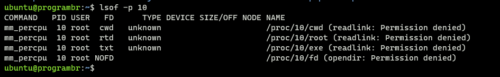 lsof -p 10 command in linux