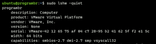 sudo lshw -quiet command in linux