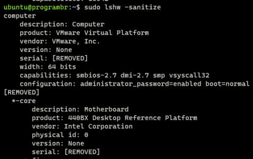 sudo lshw -sanitize command in linux