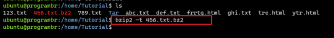 bzip2 -t filename