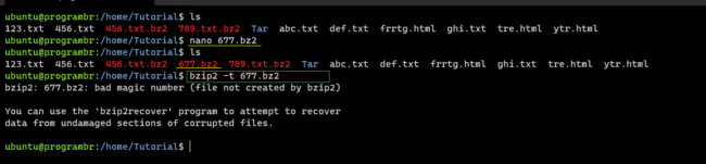 bzip2 -t zipfile-other