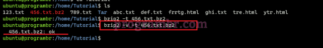 bzip2 -v -t filename