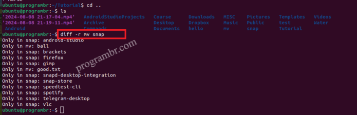 diff -r mv snap command in Linux