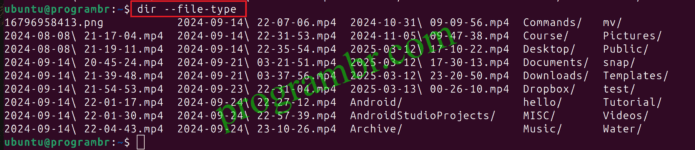dir - file-type command in Linux