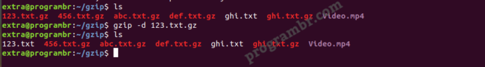gzip command -d filename