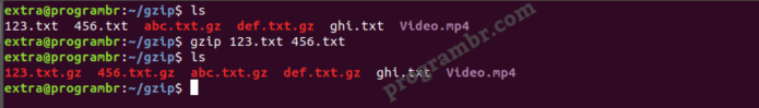 gzip command file1 file2 multiple files