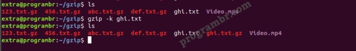 gzip command -k filename