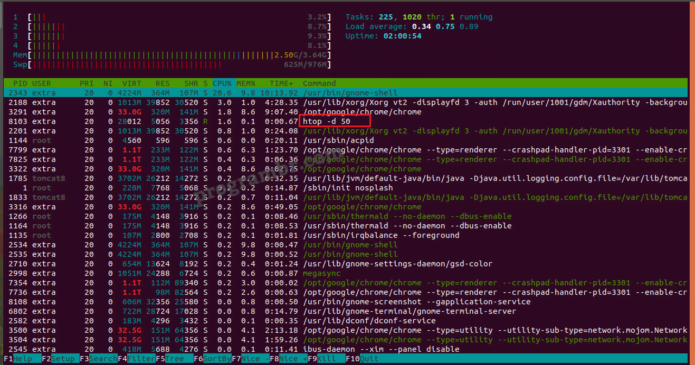 htop -d 50 command in Linux