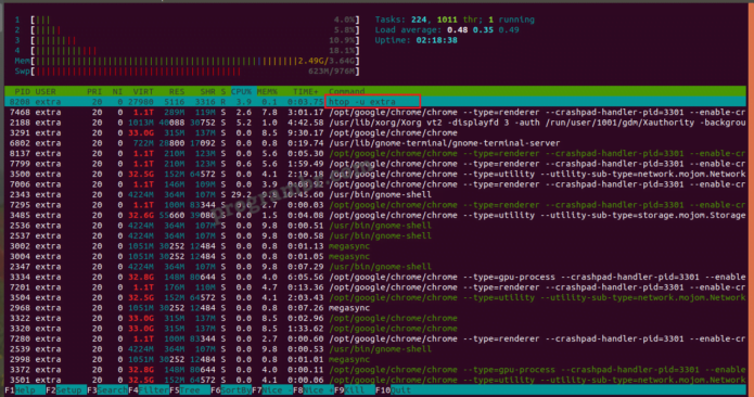 htop -u extra command in Linux