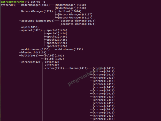 pstree -g